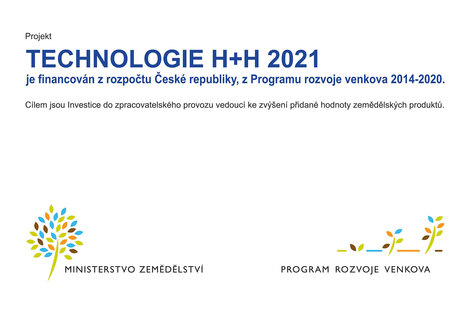 Projekt - Technologie H+H 2021